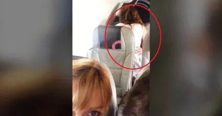 Сняли на телефон пару за сексом в самолёте с пассажирами
